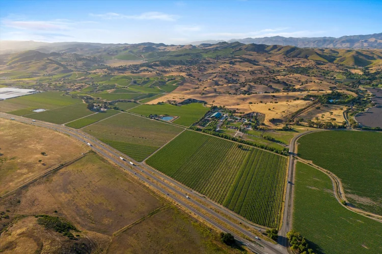 Carrari Vineyard — property photograph 4