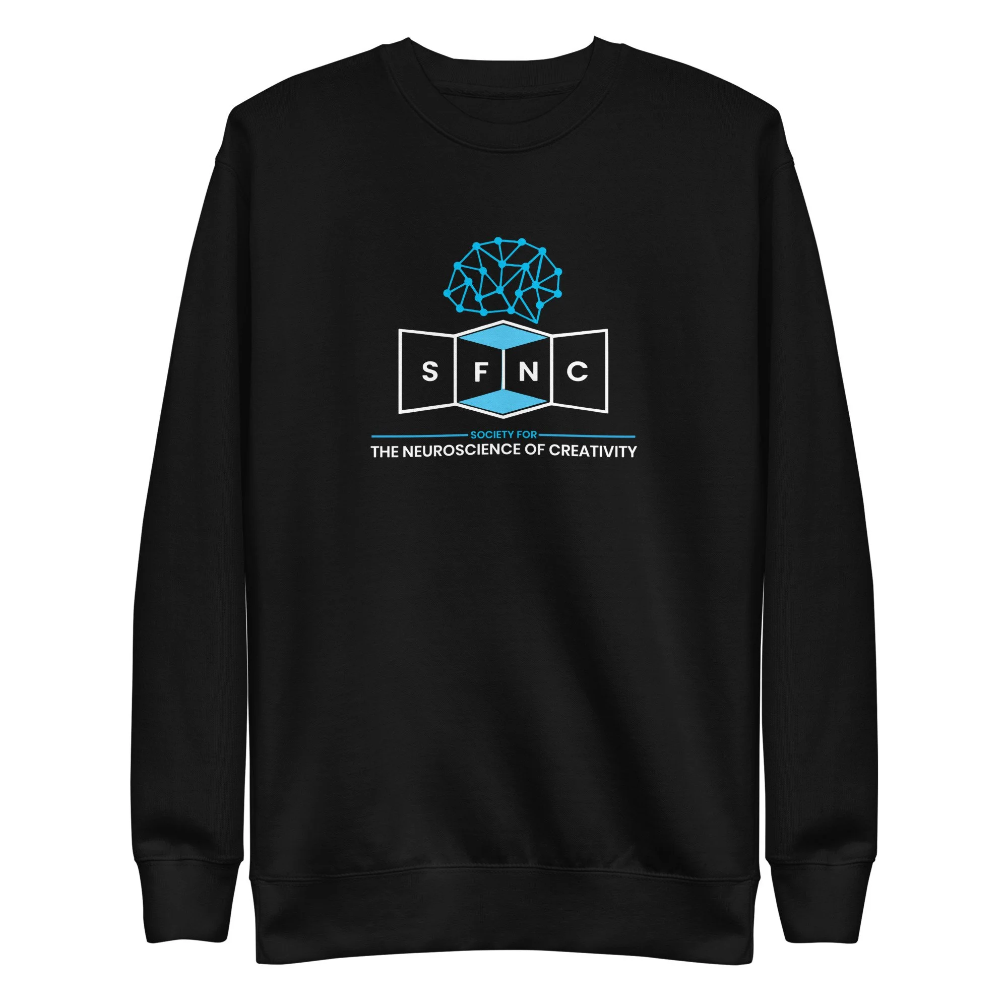 unisex-premium-sweatshirt-black-front-67575a9f2d236.jpg