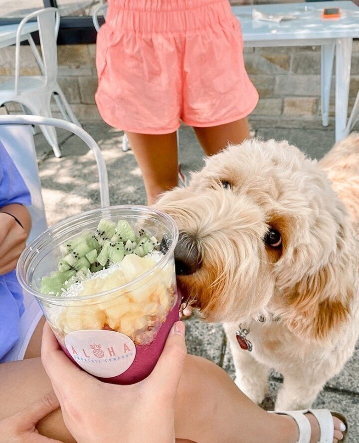 Summer on Cavalier Drive 🌞 bright and cozy space for you to eat, work + unwind. See you soon!⁠
⁠
📸: @allthingsyu⁠
.⁠
.⁠
.⁠
.⁠
#alohasmoothiecoambler #organic #plantbased #juicebar #bowls #smoothies #plantpowered #bewellphilly #fitphilly #phillymag 