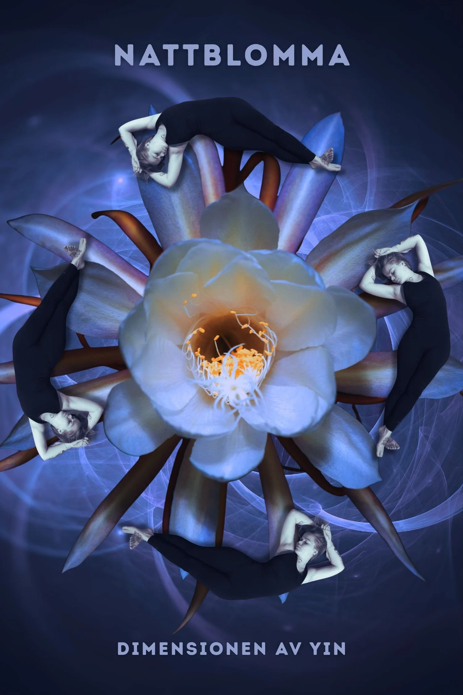 Nattblomma: Dimensionen av Yin