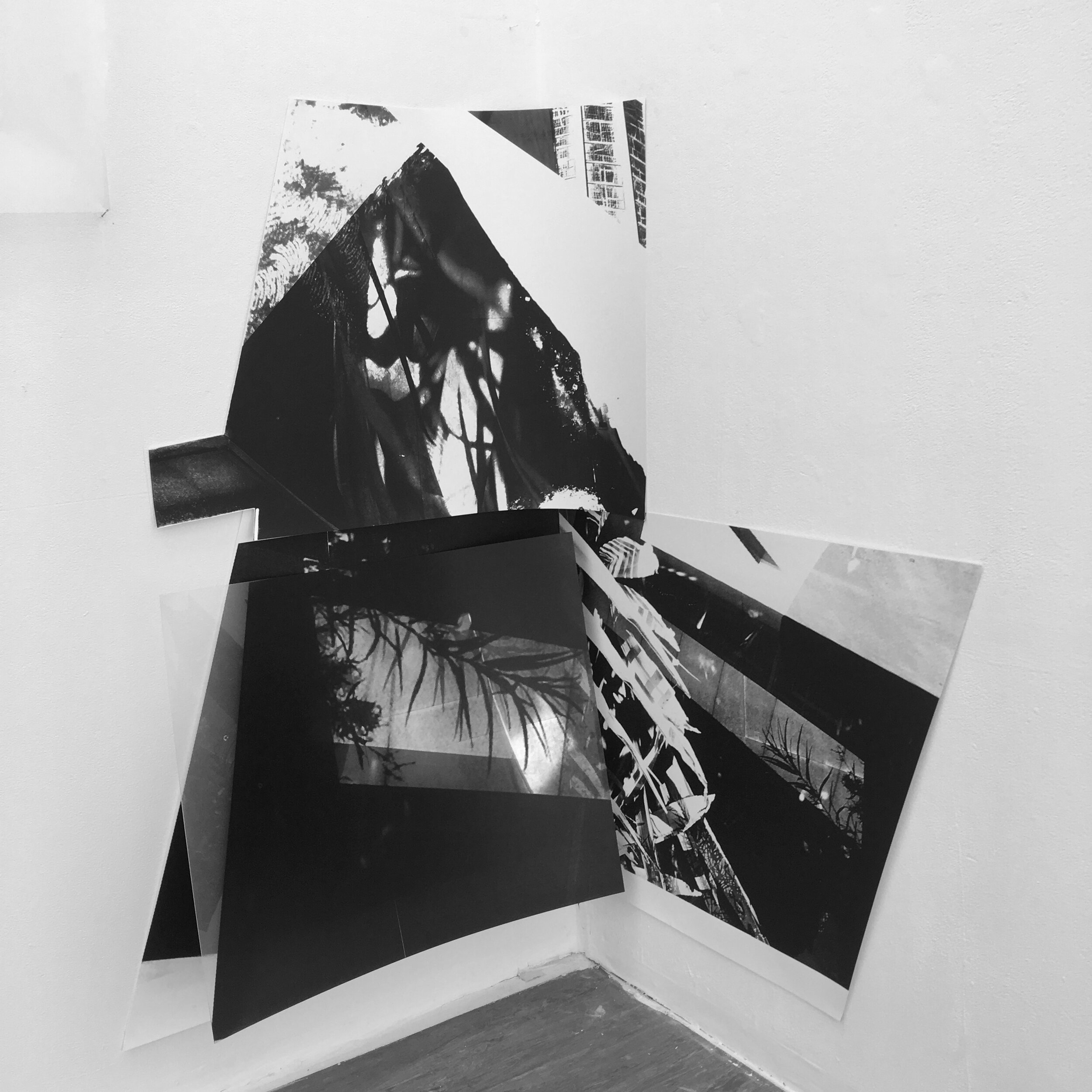  Screen print on paper and acrylic  