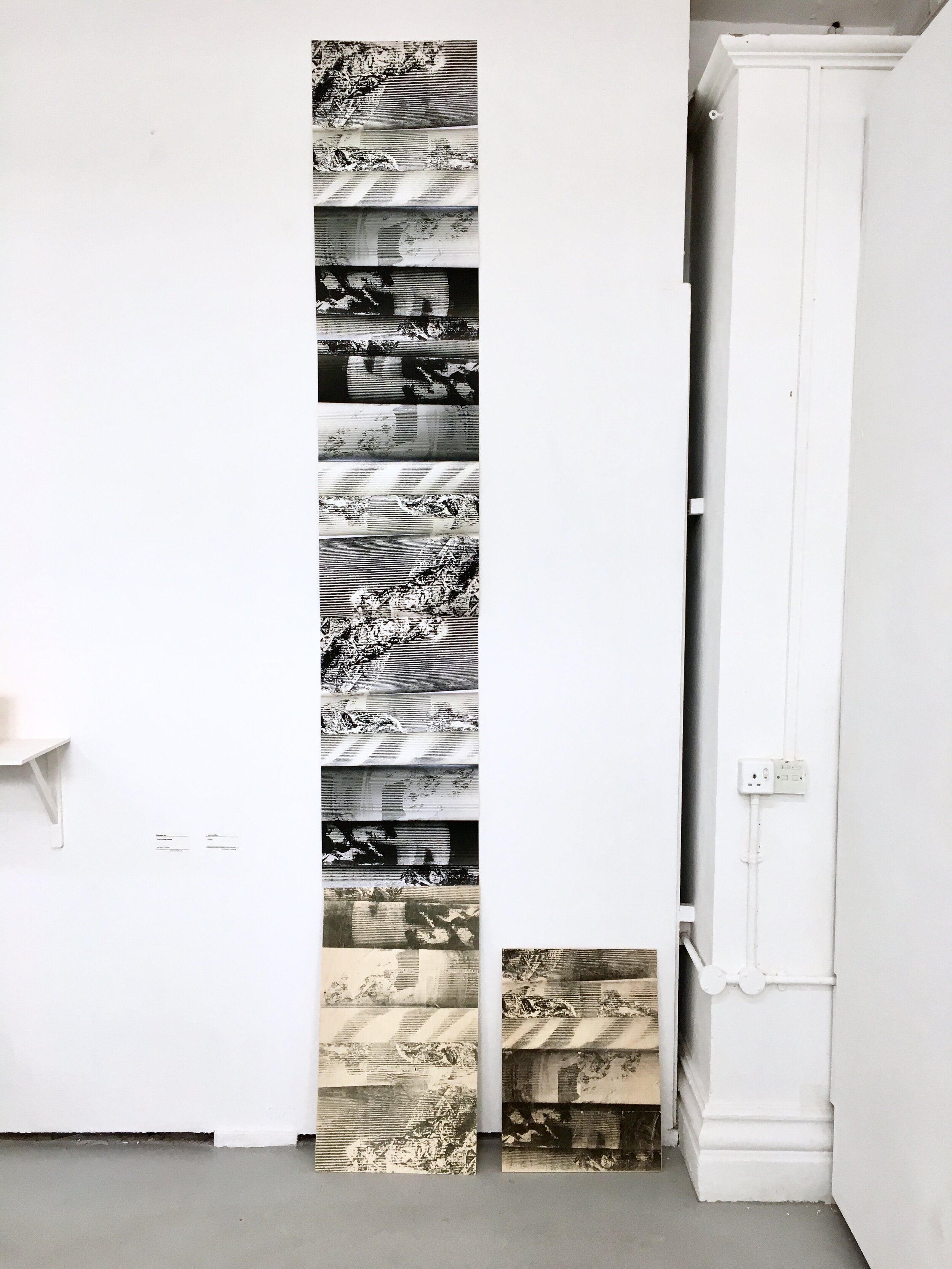  Digital inkjet print and photographic inkjet transfer on plywood 