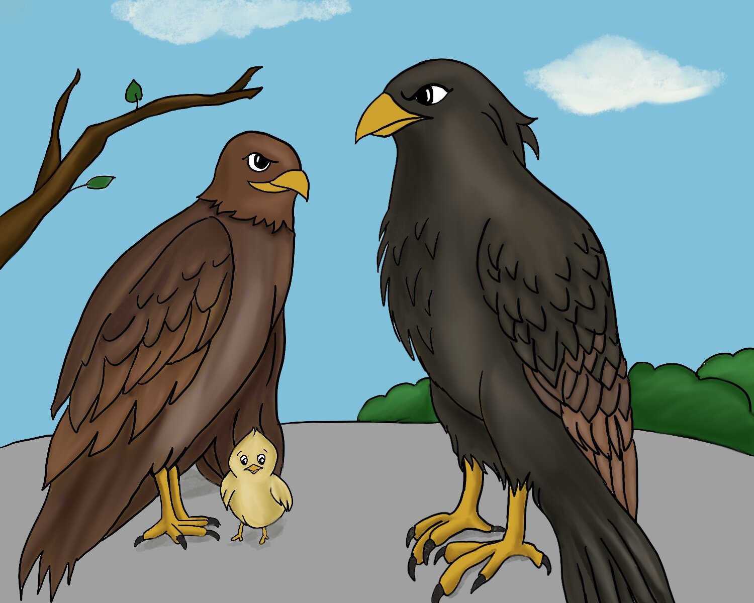 Why Hawks Kill Chicks, Not Owlets — Anike Foundation