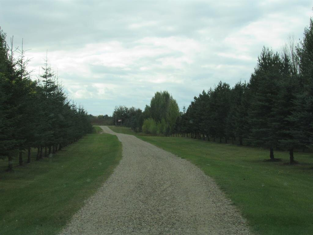 pic 44.jpg