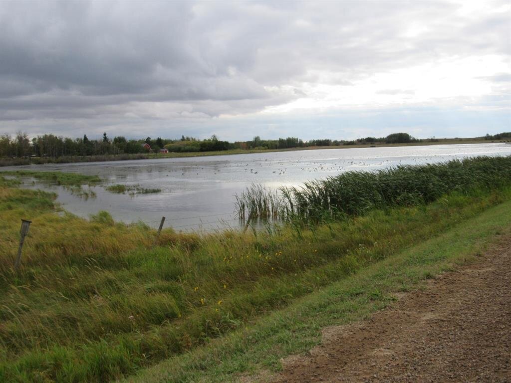 pic 42.jpg