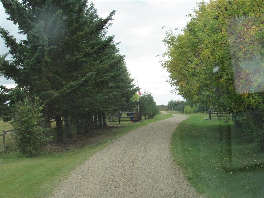 pic 11.jpg