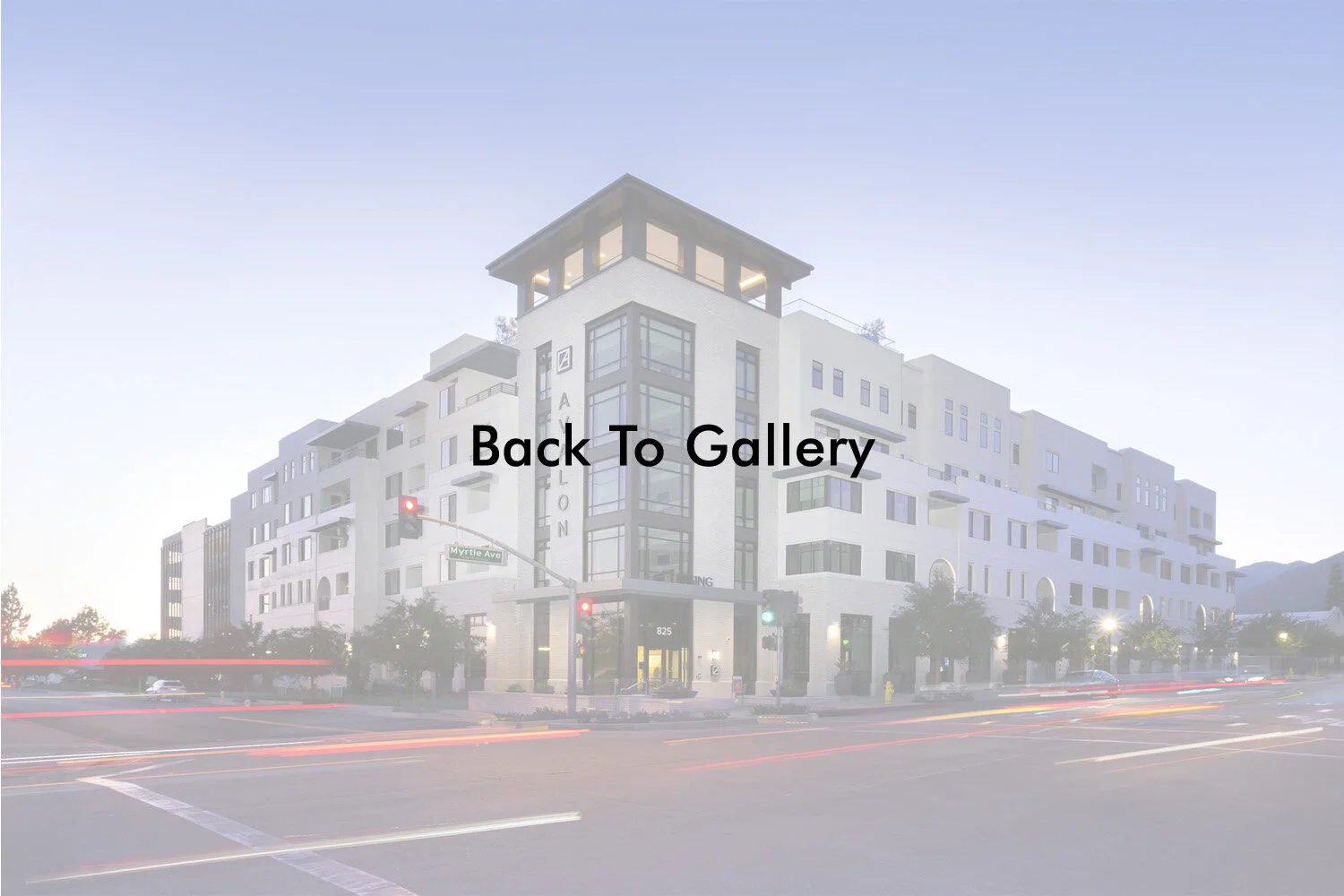 Gallery.jpg