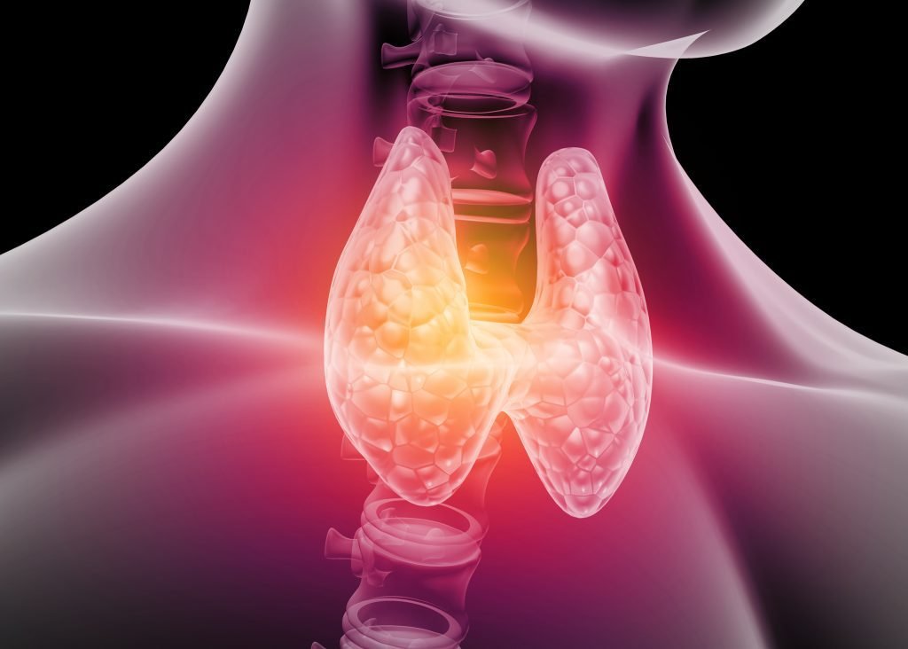 How Stress, Leaky Gut, and Environmental Toxins Affect Thyroid Function and Overall Health