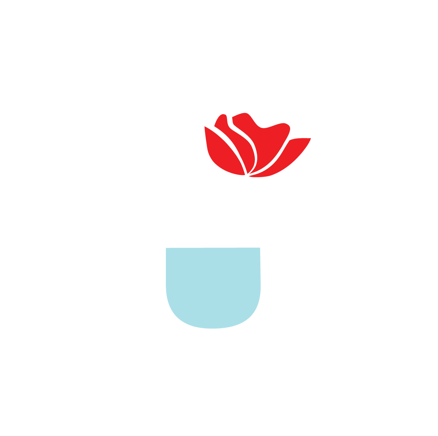 Rowan Tree 