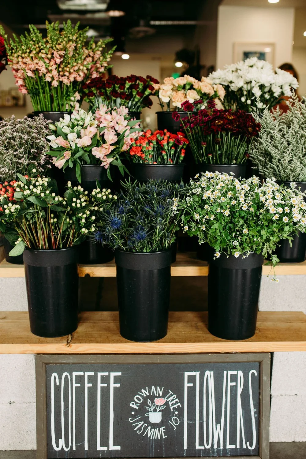 Jasmine Jo & Rowan Tree