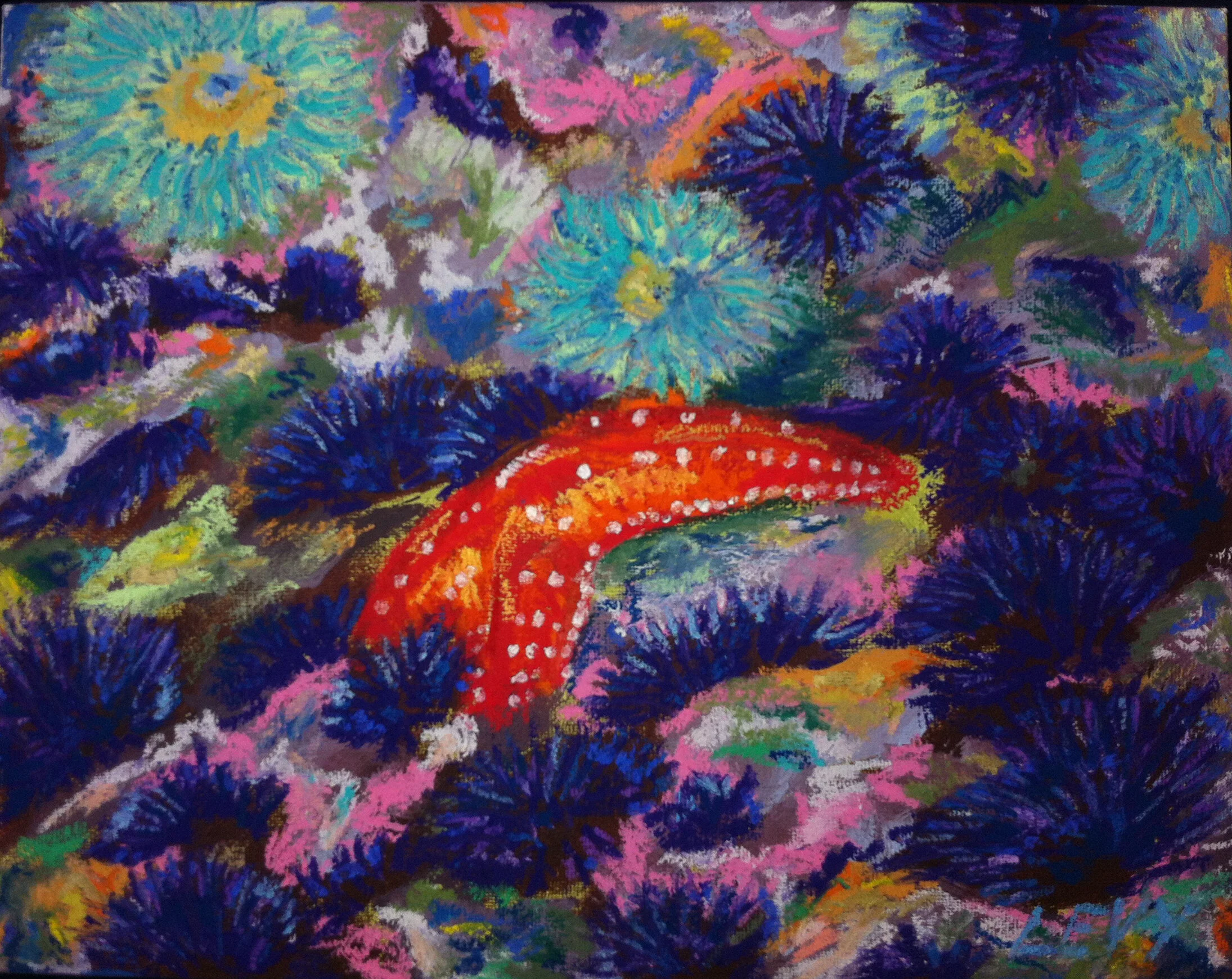 Laguna Tidepool  |  Oil Pastel on Canvas Panel  }|  11" x 14"  