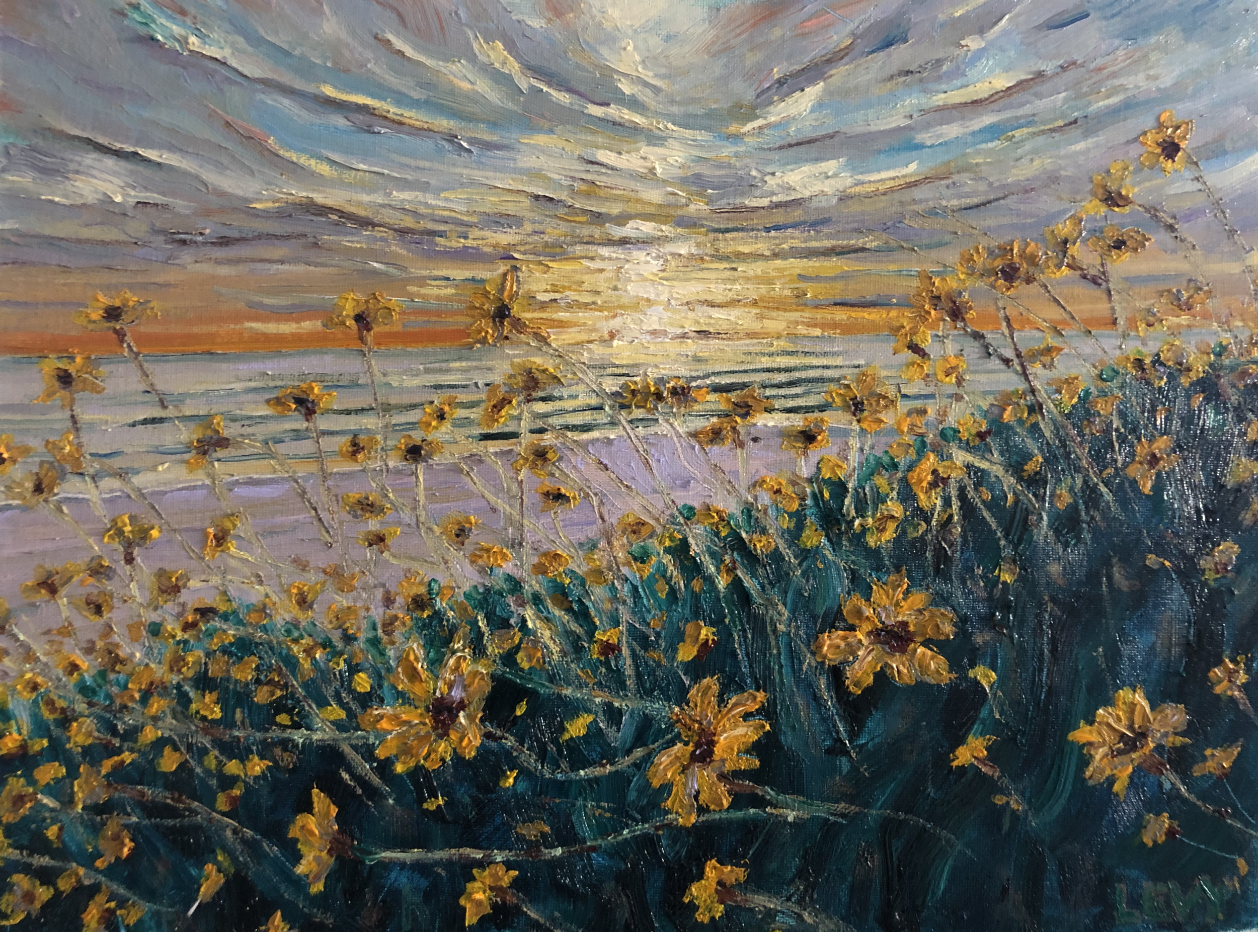 Springtime Daisys by the Sea  |  Oil on Canvas   |  12" x 16"   |  March 2022