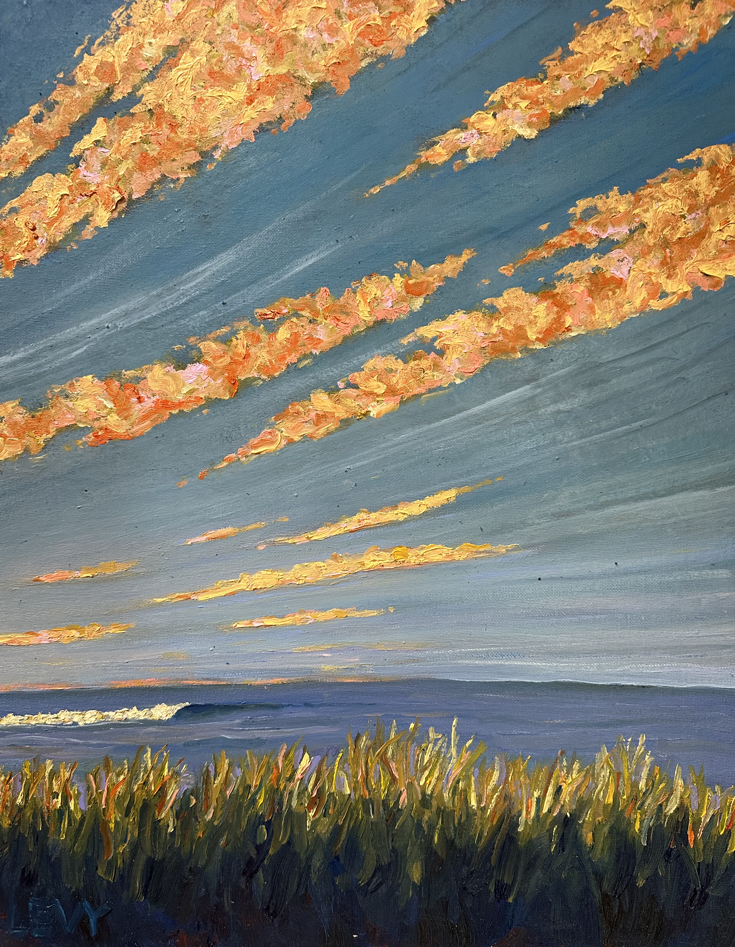 Cojo Reef Study 1  |  16 x  20"  |     Oil on Canvas Board  |  October 2023