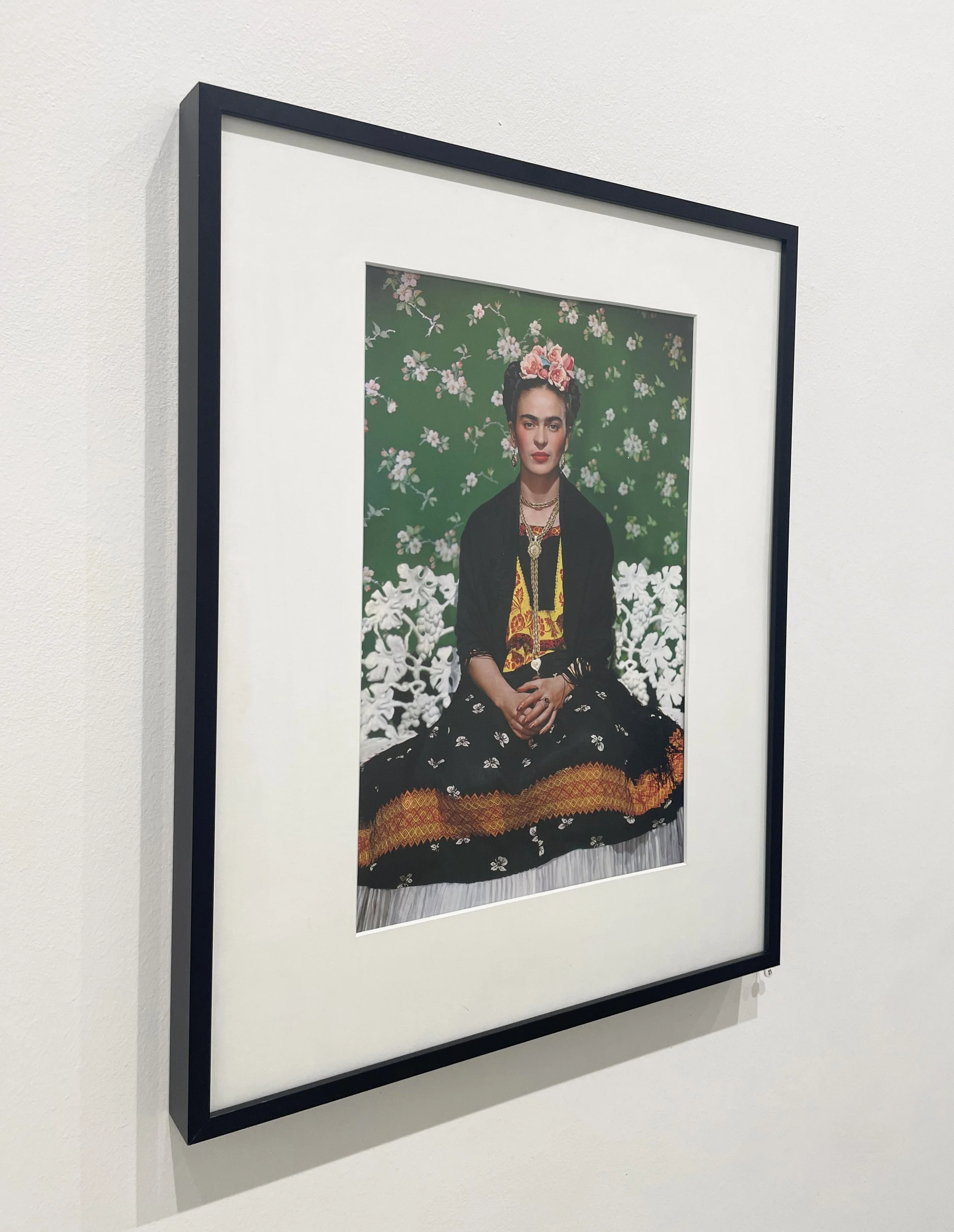 7_14170_Frida on White Bench.jpg