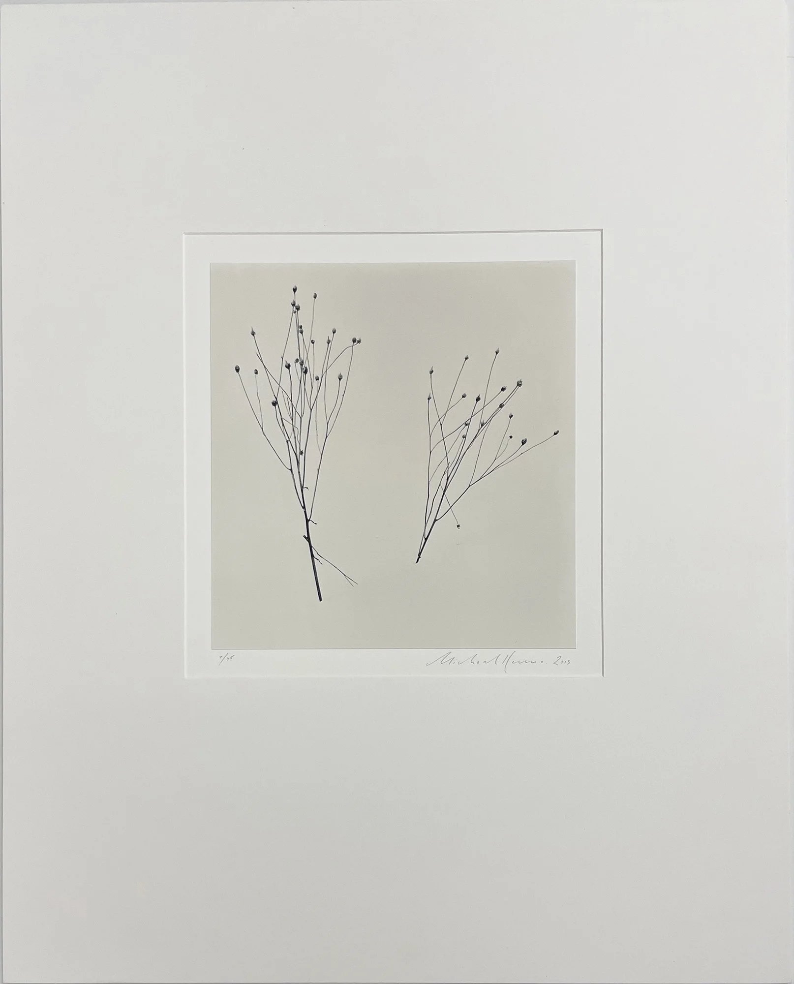 Two Winter Stalks_Frontjpg.jpg