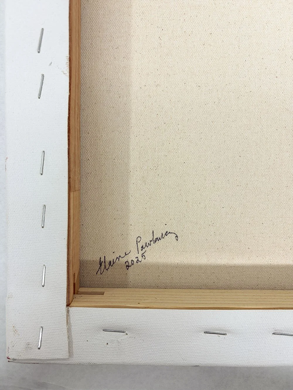 4_14423_Pawlowicz_Joshua Tree Flowers and Yucca Moths.jpg