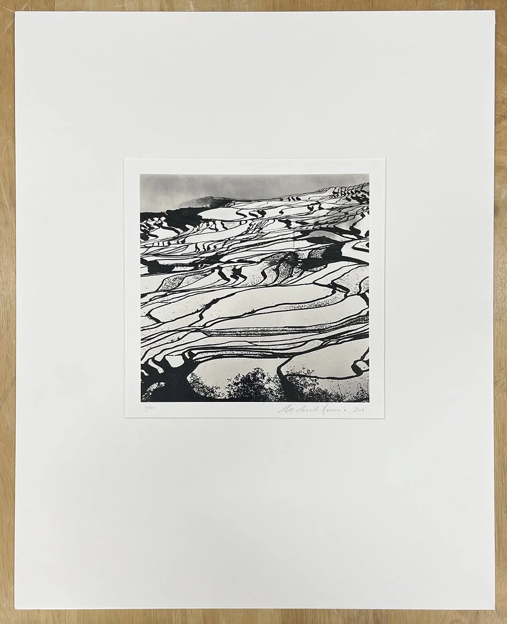 1_11740_Kenna_Yuanyang Study 2.jpg