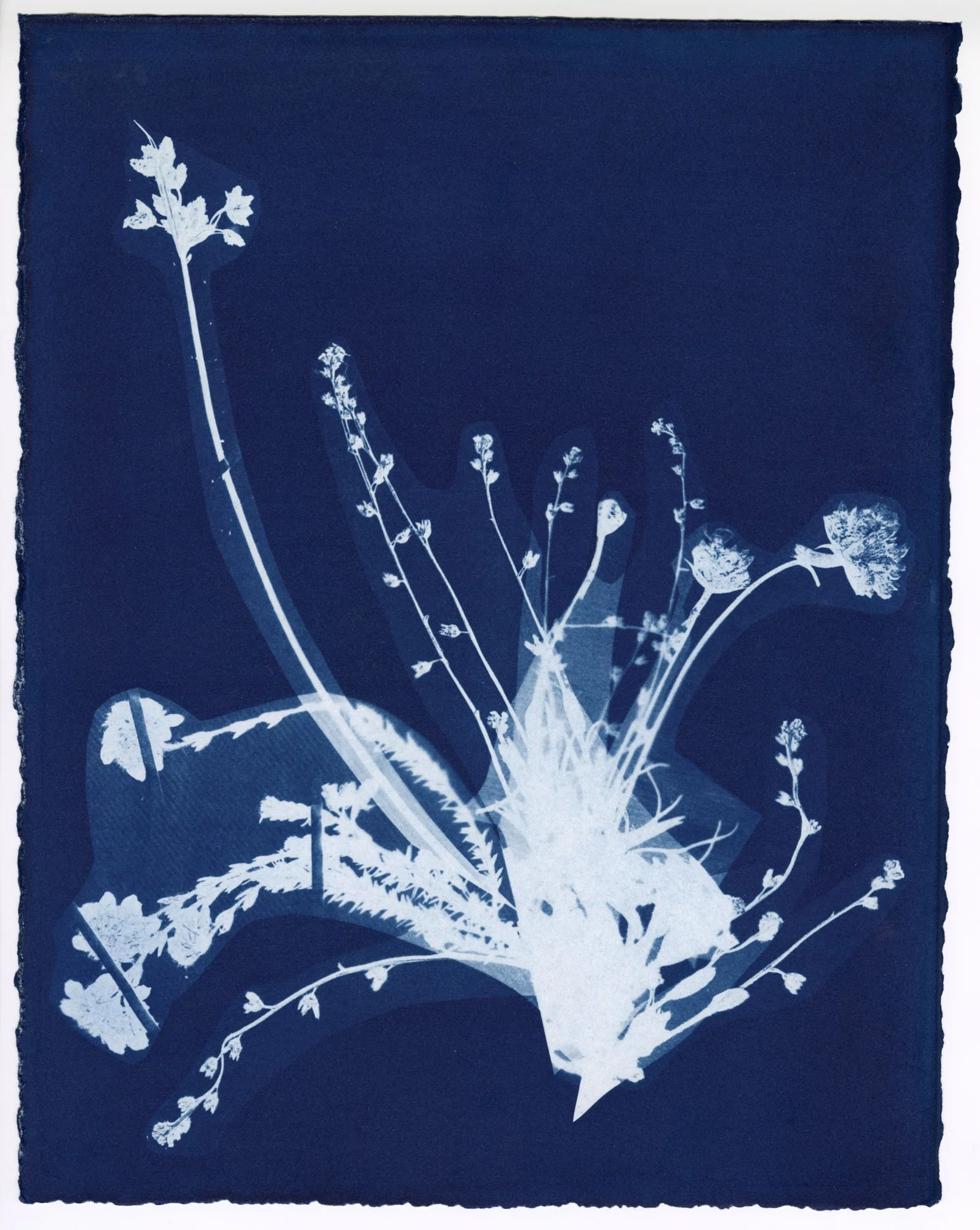 Meg Griffiths: Bouquet #6, 2025