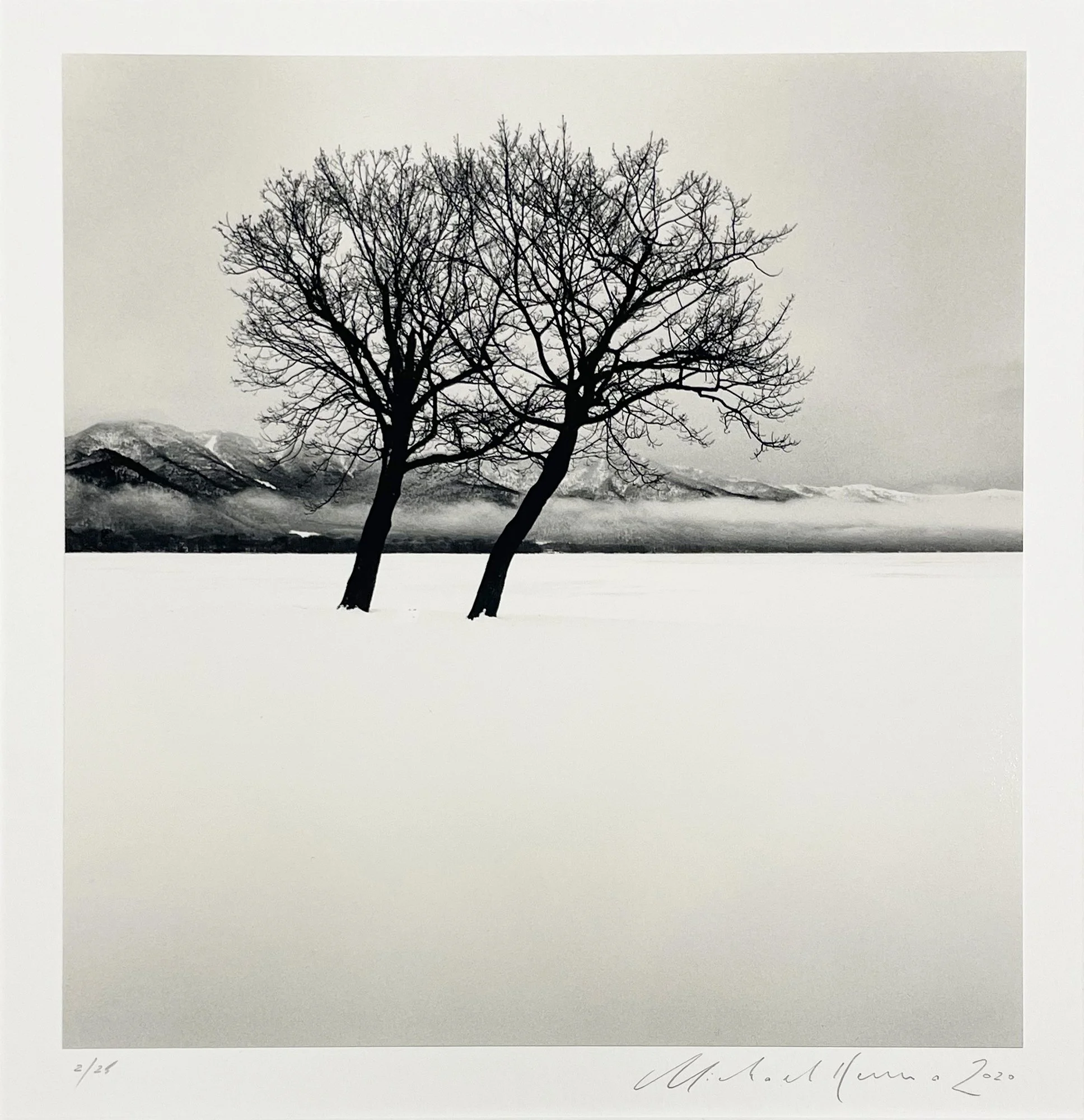 2_13441_Dancing Trees_Close Up.jpg