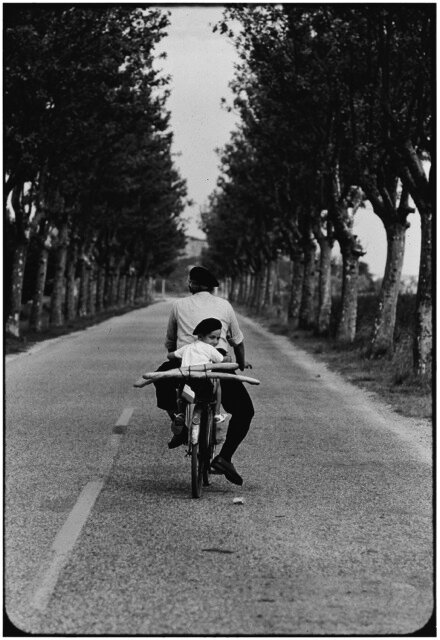 Provence, France, 1955