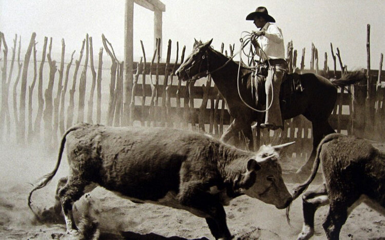Untitled (Roper at Bell Ranch), 1973-75