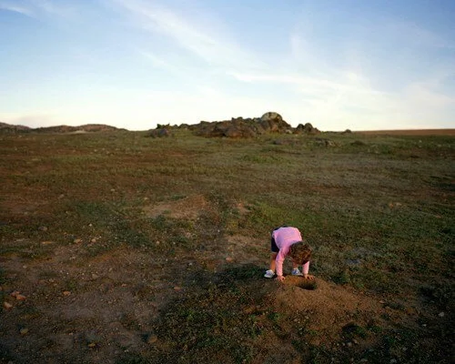 Todd Stewart, Prairie Dogs, 2008