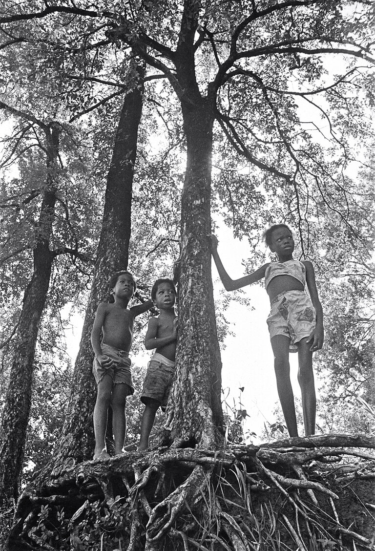 Earlie Hudnall: Roots, 1997 — PDNB Gallery, Photographs Do Not Bend  Gallery