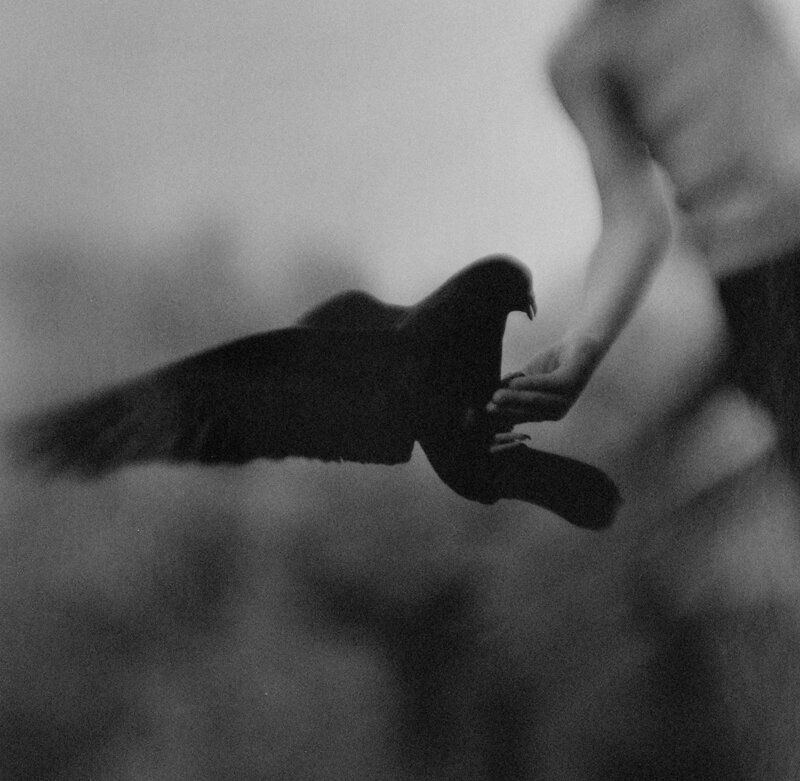 3_KeithCarter_OpenHand2004_PDNBGallery.jpg