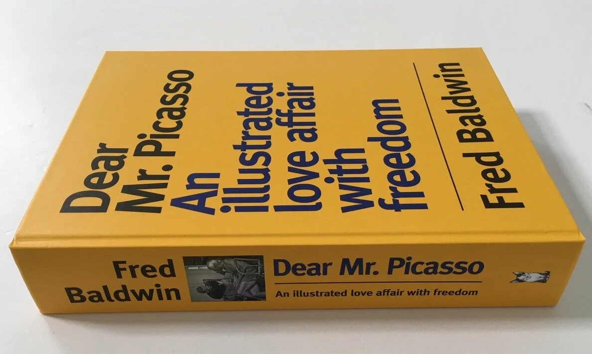 3_Fred Baldwin_Dear Mr Picasso_An Illustrated Love Affair with Freedom.jpeg