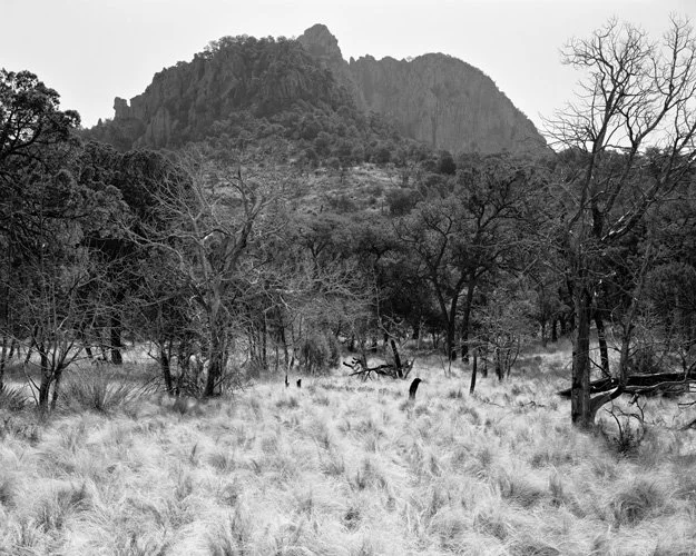 Jack Ridley: Emory Peak from Laguna Meadow, Big Bend, 1988
