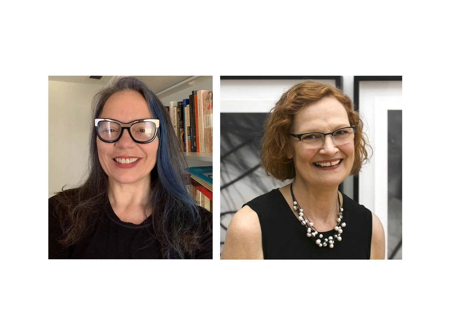 Gallery Talk with Charissa Terranova and Susan kae Grant