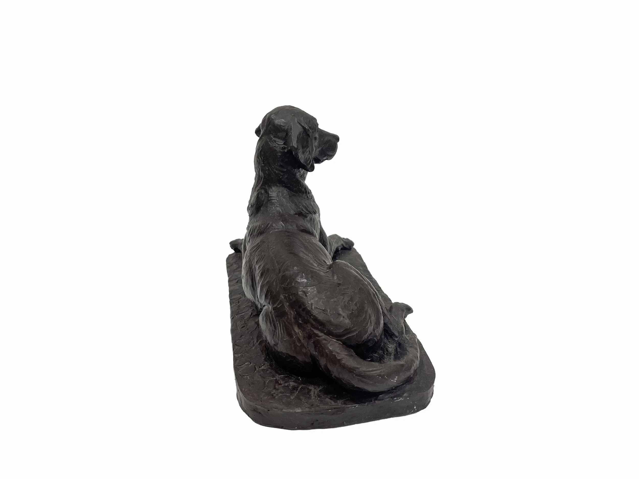 01_dog_D.jpg
