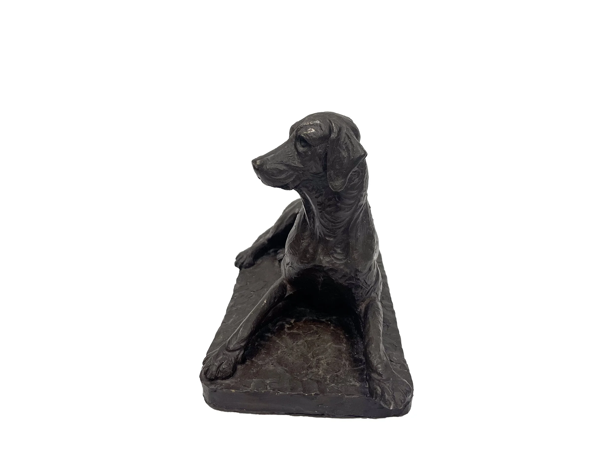 01_dog_B.jpg