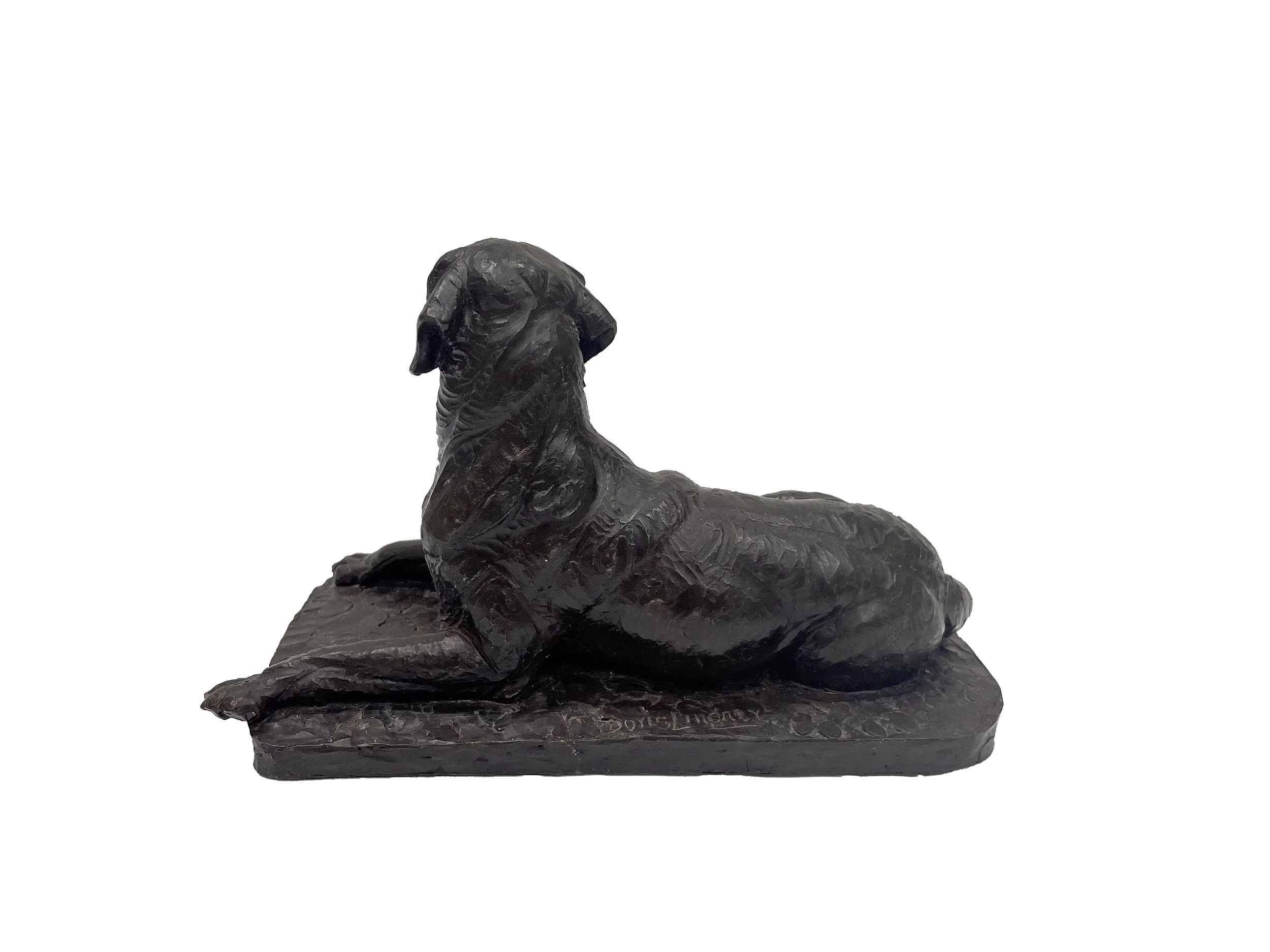 01_dog_C.jpg