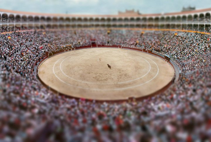 Esteban Pastorino Diaz, Las Ventas #2, 2006