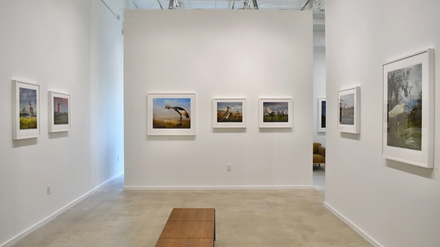 2_Cheryl+Medow_Installation+View_PDNB+Gallery_LR.jpg