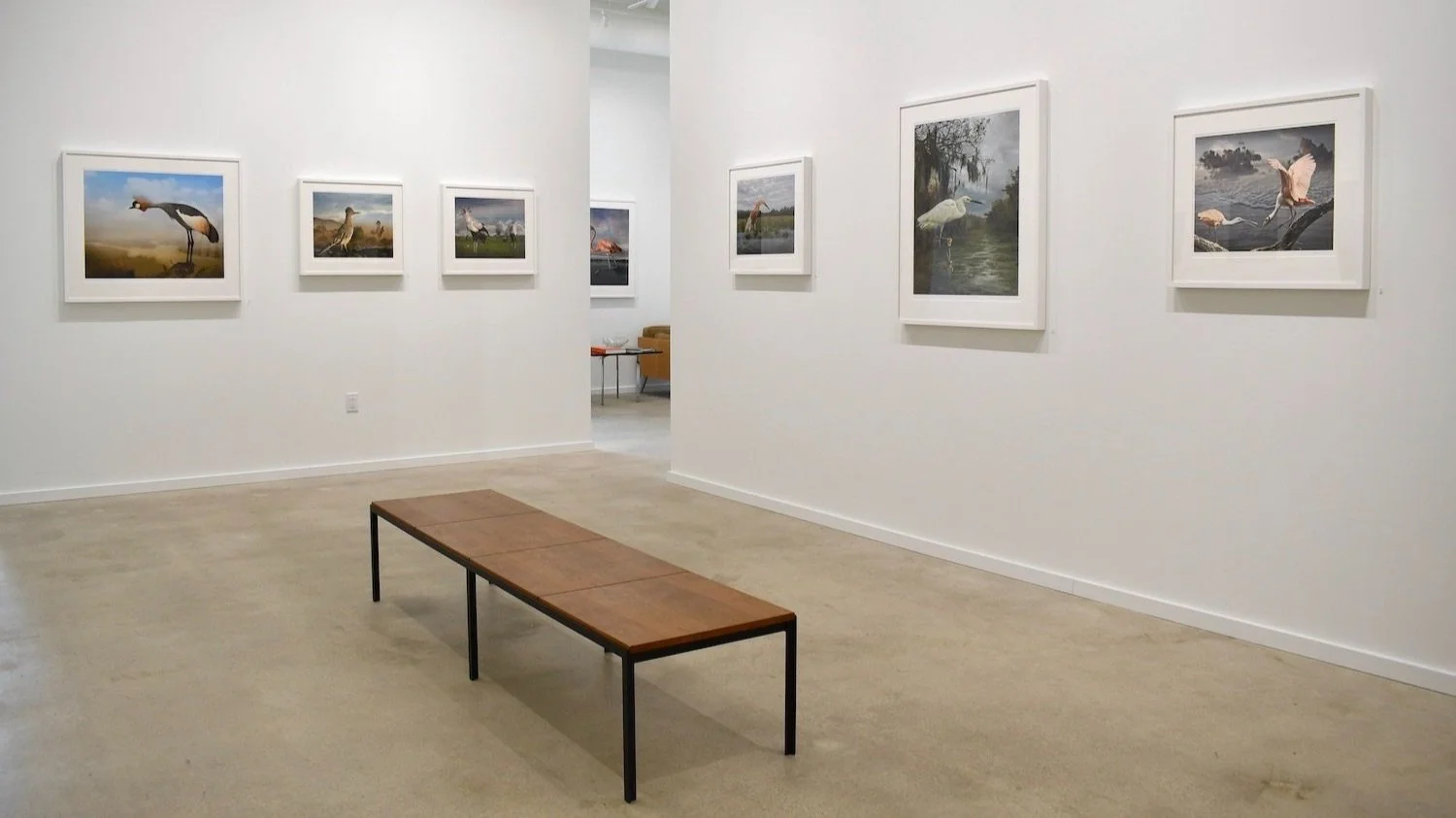 3_Cheryl+Medow_Installation+View_PDNB+Gallery_LR.jpg