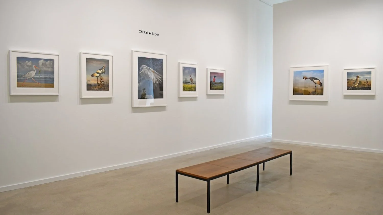 1_Cheryl+Medow_Installation+View_PDNB+Gallery_LR.jpg