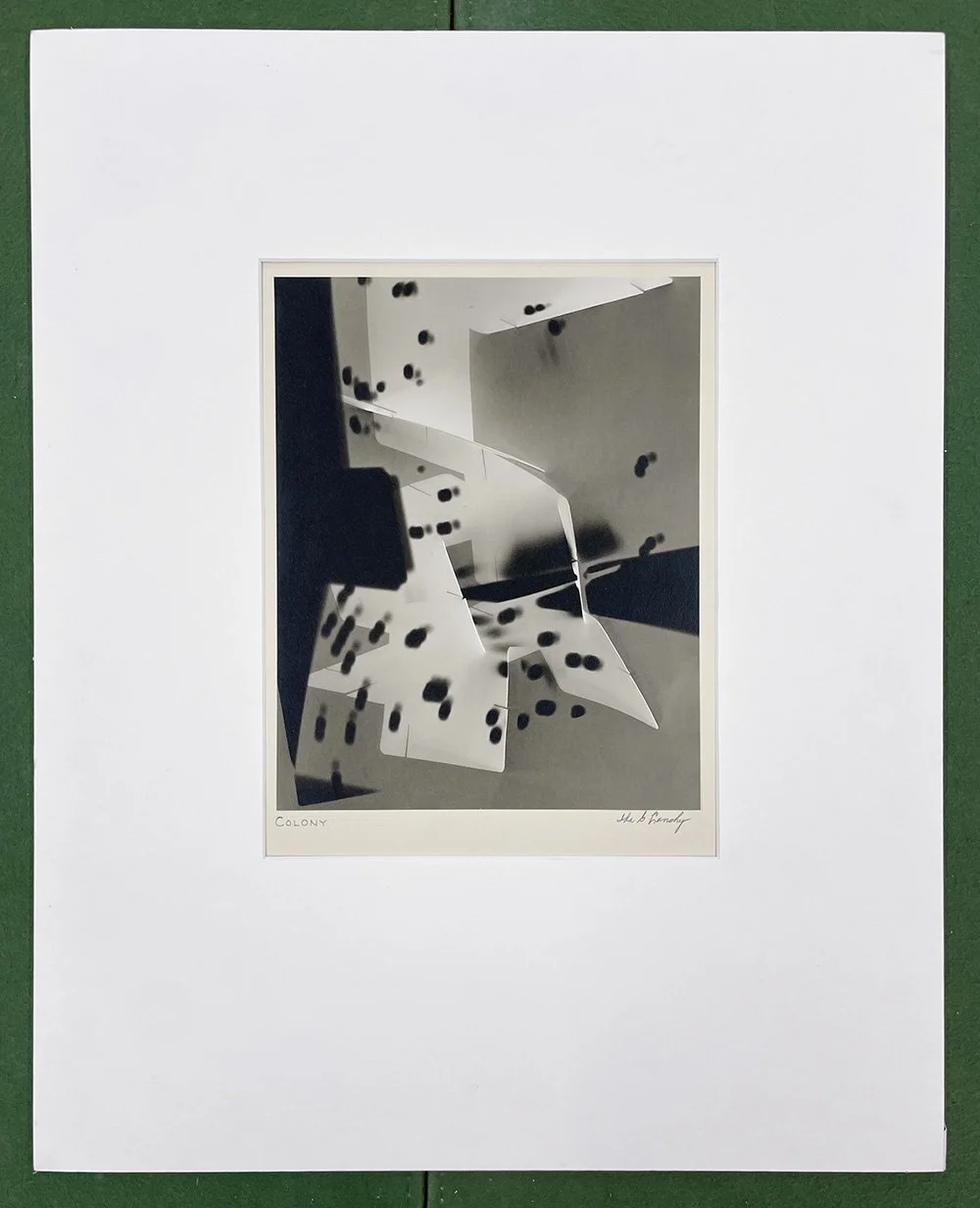 1a_2461_Lansky_Colony copy.jpg