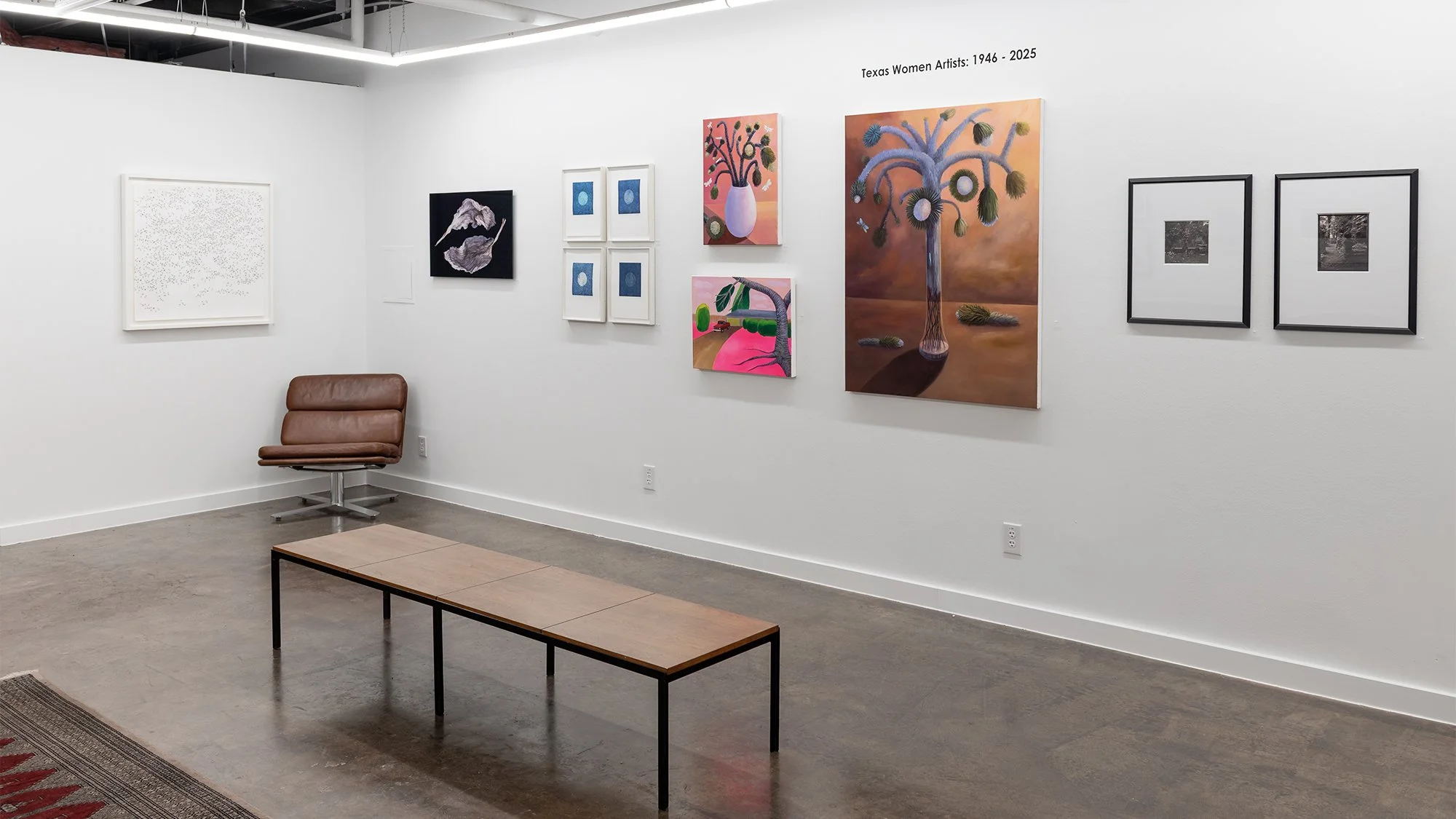 1_Texas Women Artists_Installation.jpg