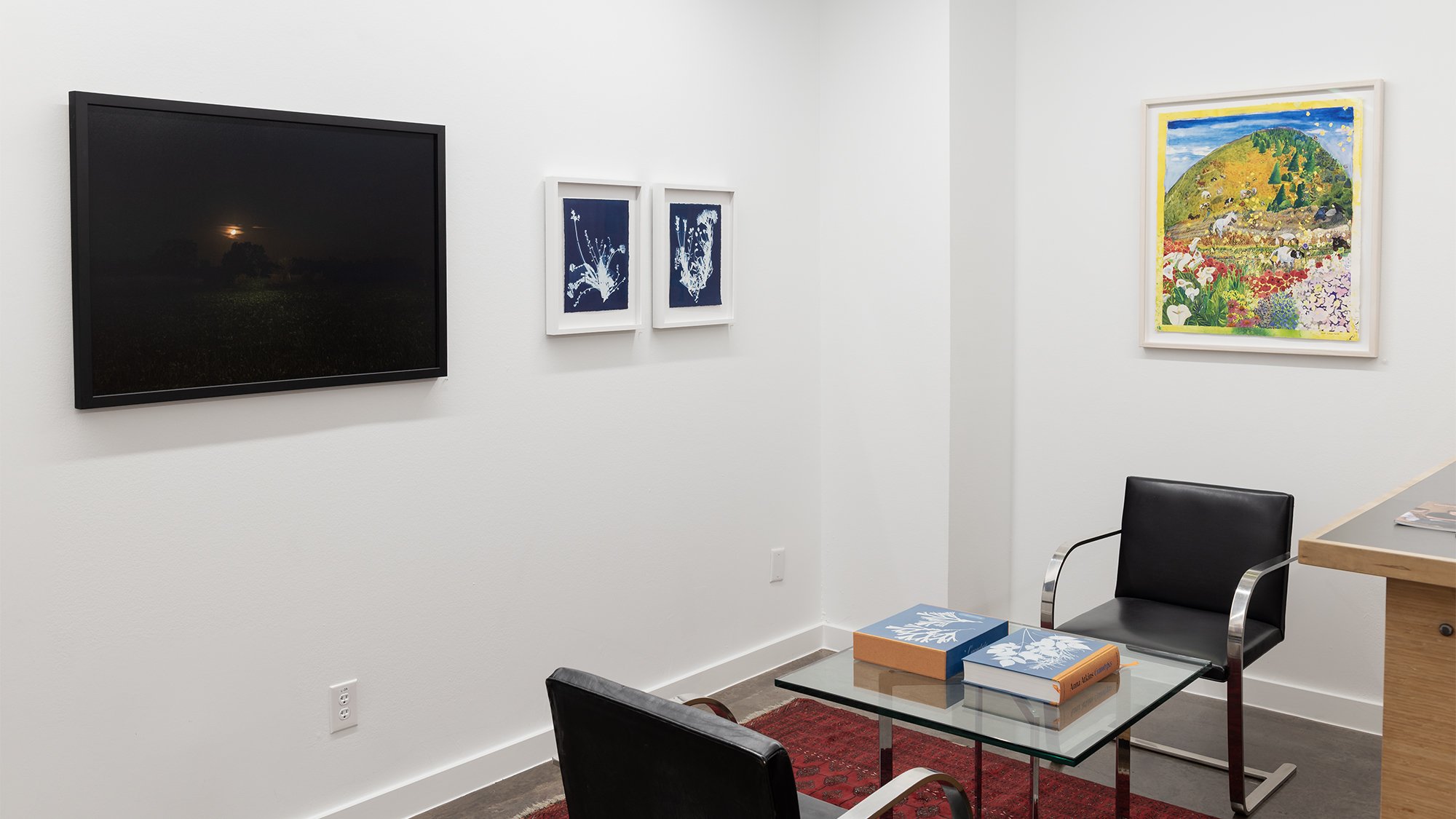 3_Texas Women Artists_Installation.jpg