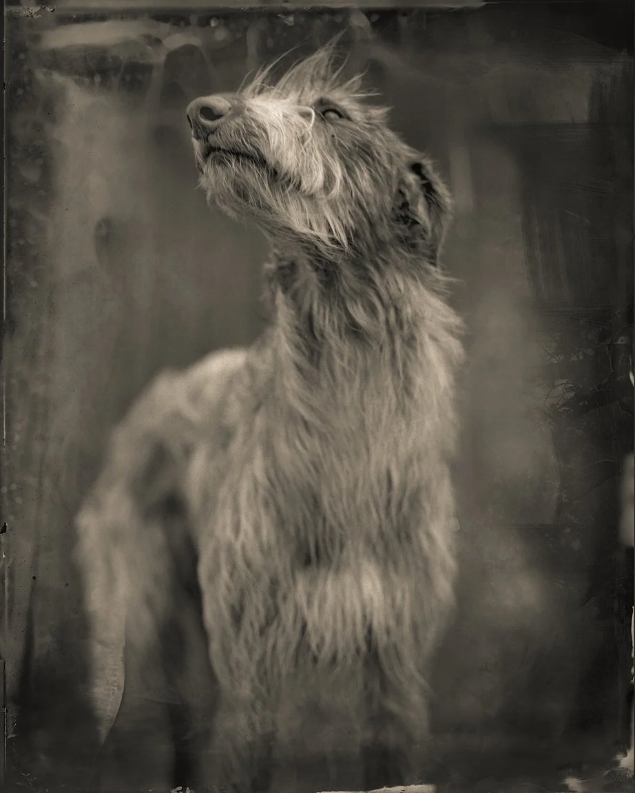 KEITH CARTER