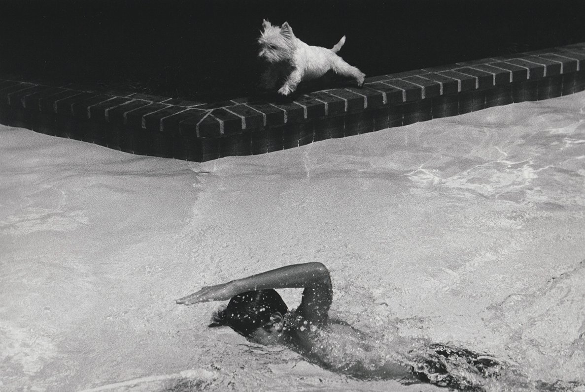 PAUL GREENBERG