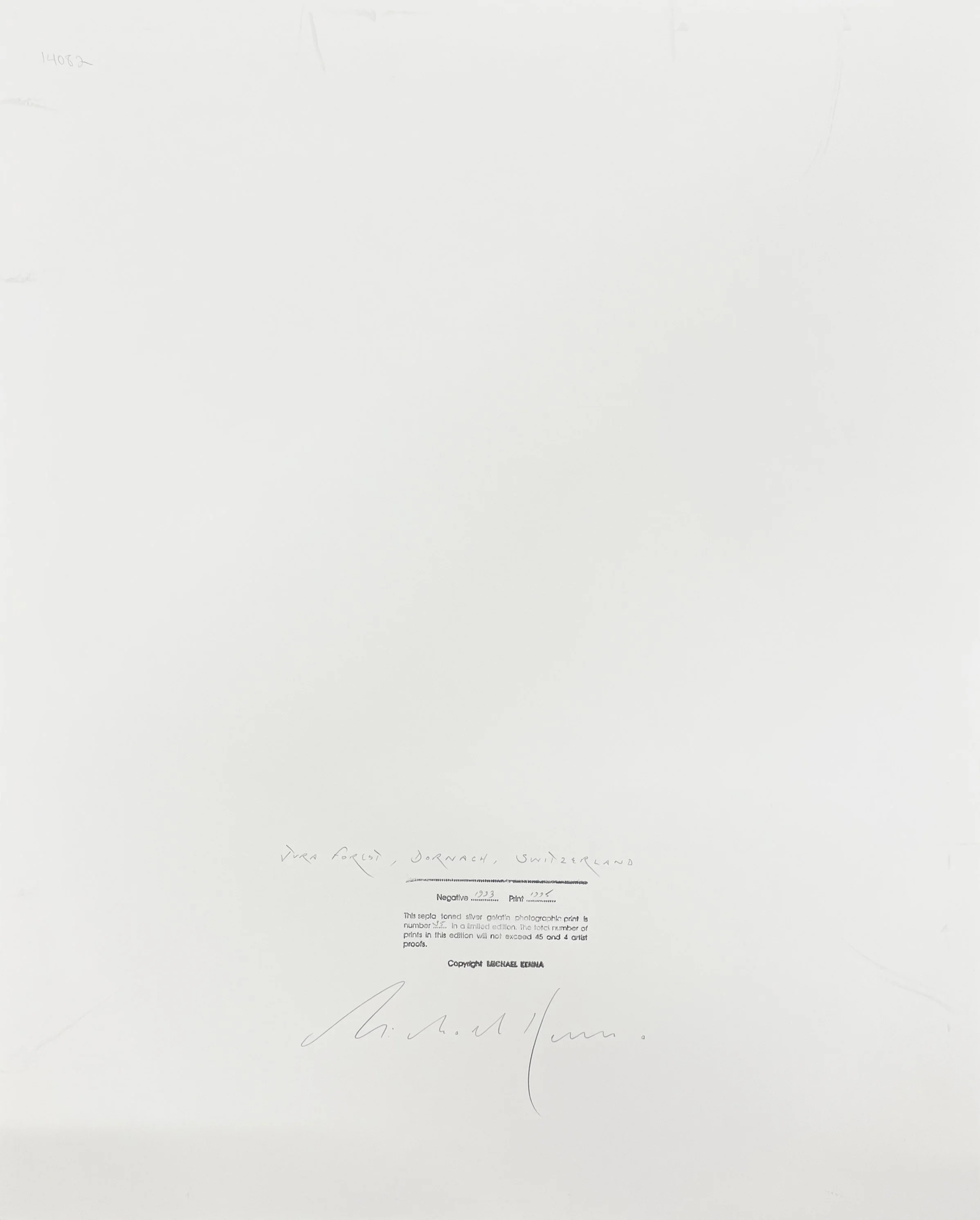 5_14082_Jura Forest.jpg