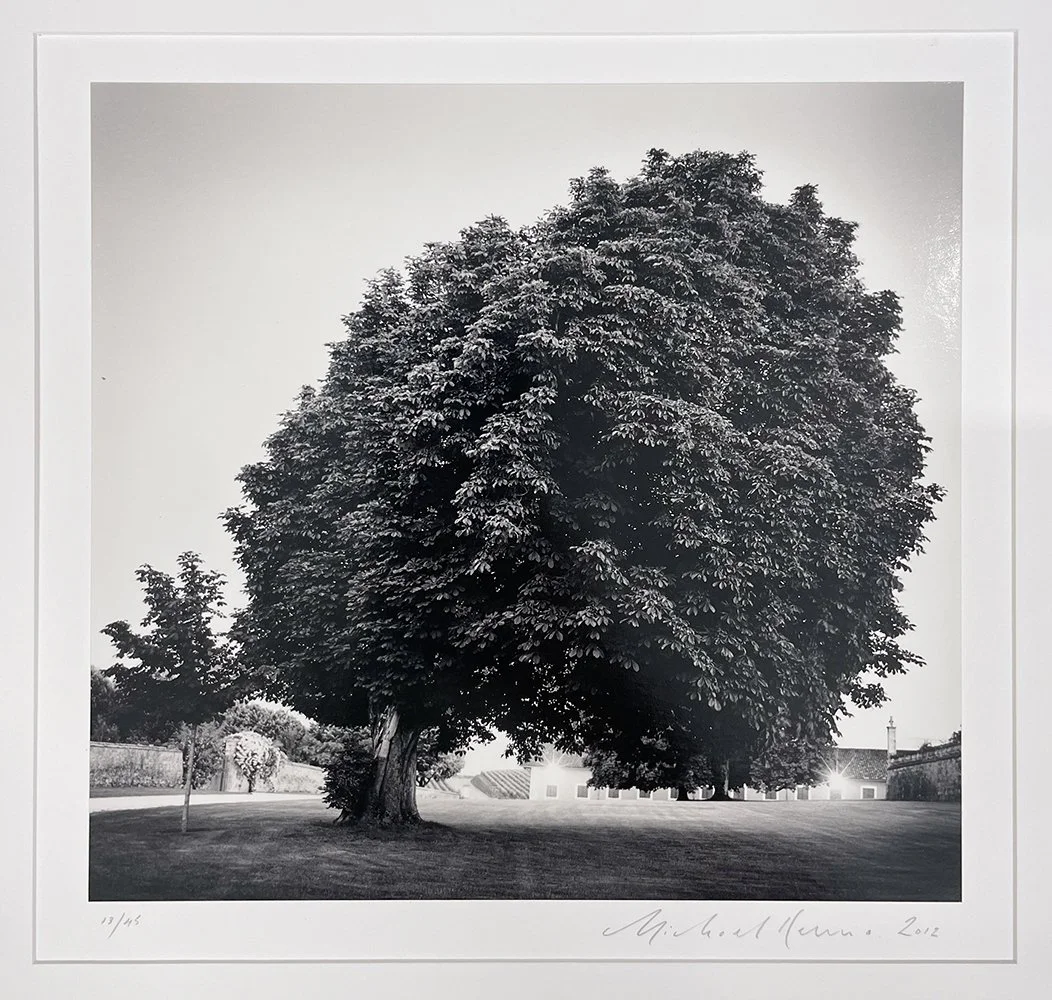 2_14083_Kenna_Chateau Lafite.jpg