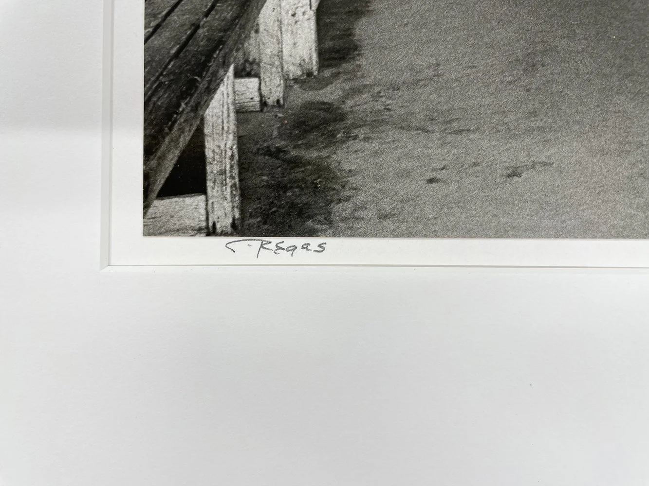 2_14353_Regas_Domino Players.jpg