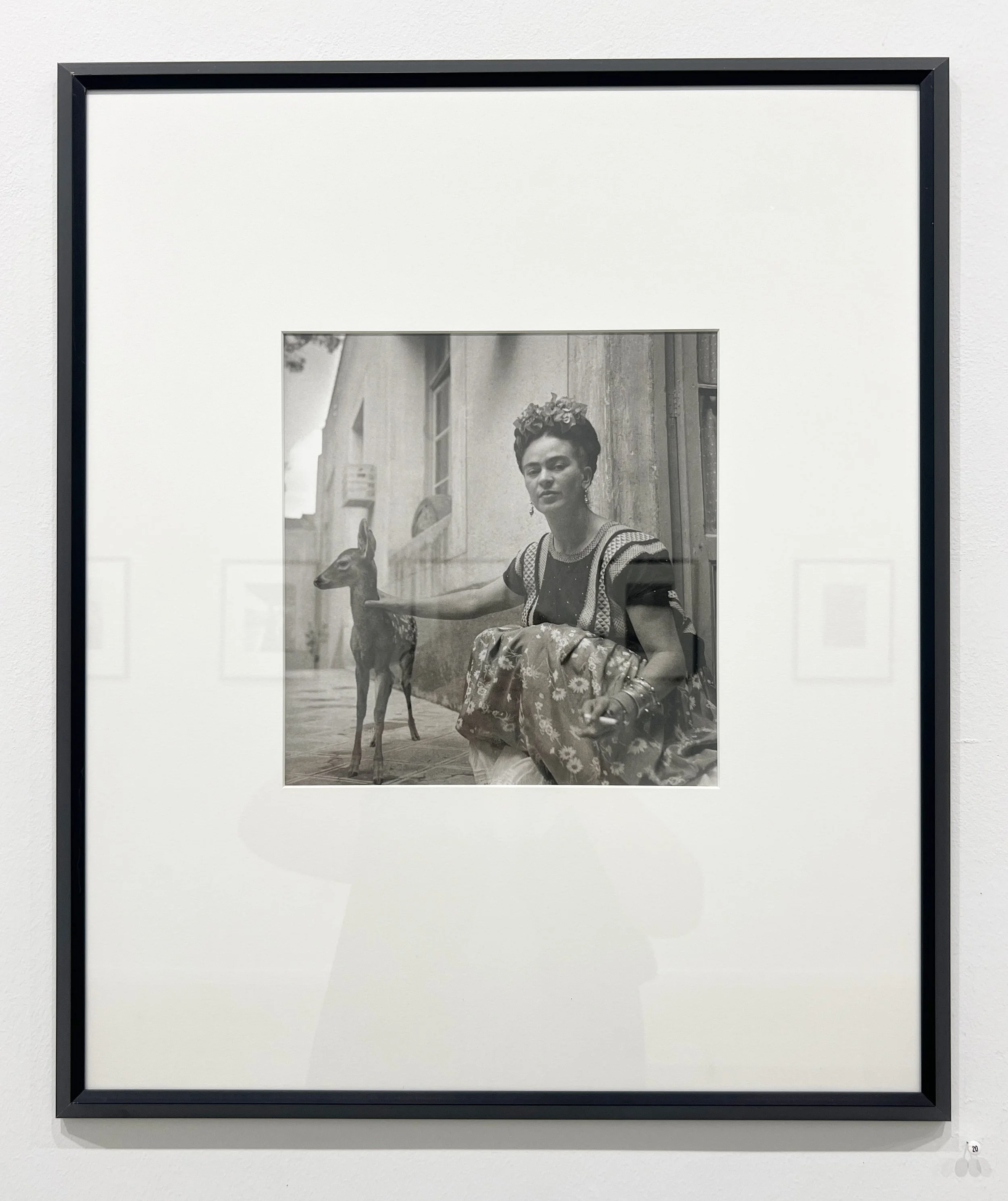 7_13455_Muray_Frida with Granizo.jpg