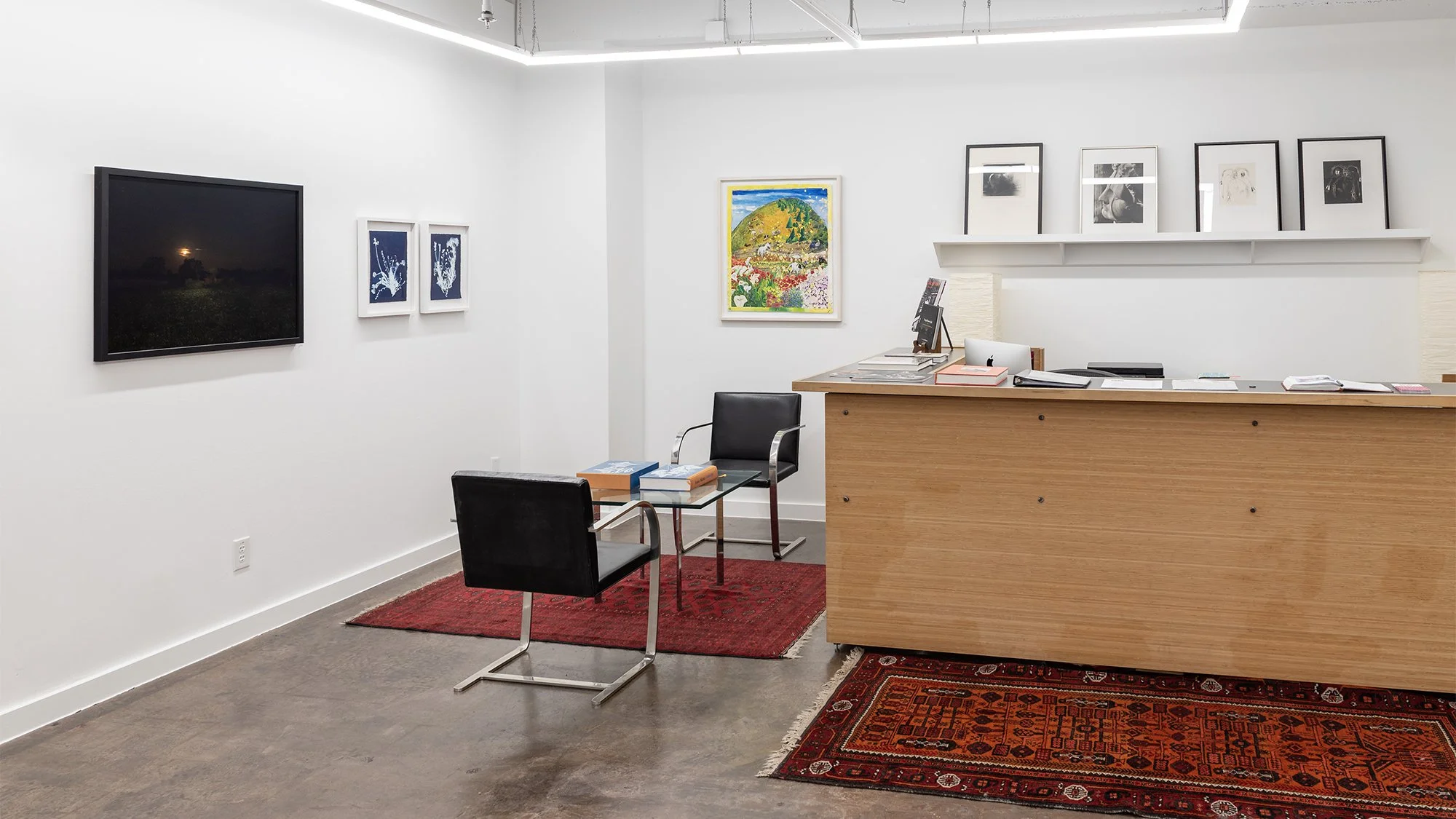 2_Texas Women Artists_Installation.jpg