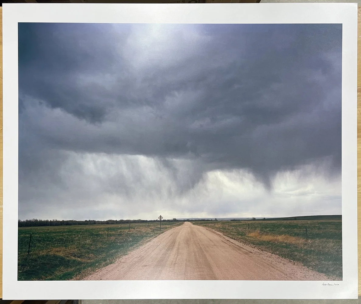 2_8805_Brown_Limon CO.jpg