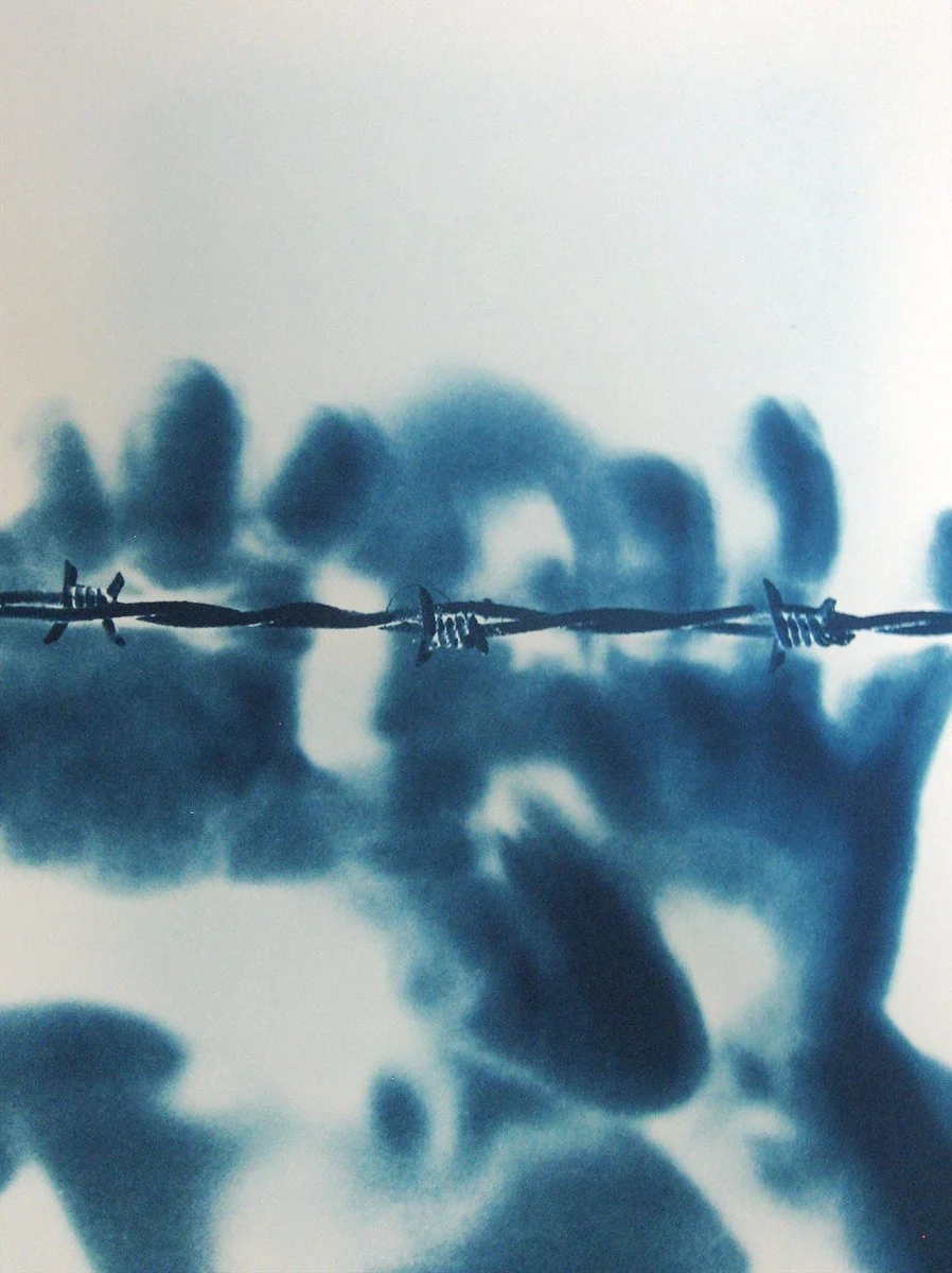 8_Van Leeuwen_Barbed Wire No 8_LR.jpg